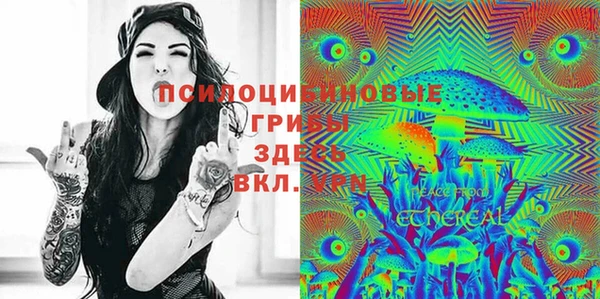 синтетический гашиш Алексин