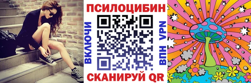 Псилоцибиновые грибы Psilocybine cubensis  МЕГА вход  Николаевск-на-Амуре  где купить наркотик 